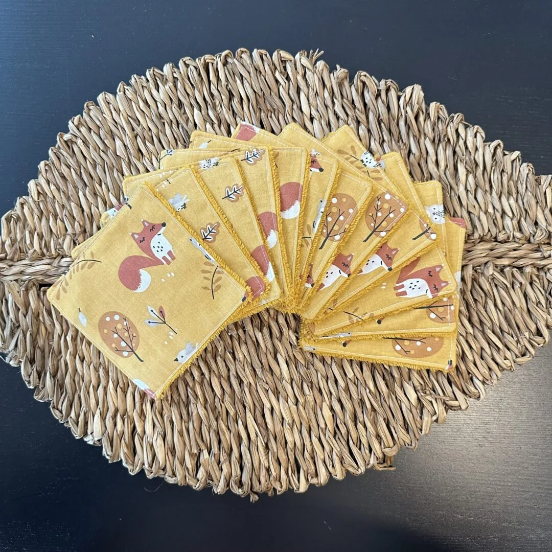 IMG_8257 Lingette lavable renard