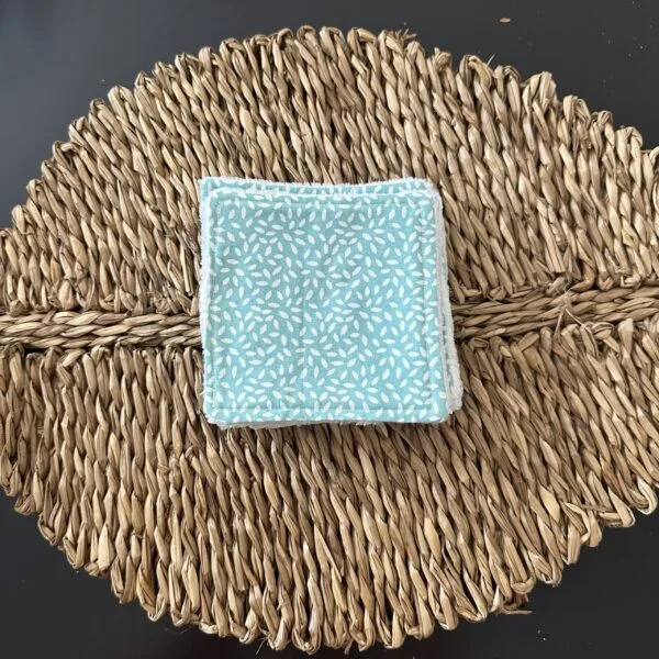 IMG_9151 Lingette lavable vert bleu